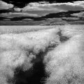 Infrared Black and White Landscape photography Barn Iowa