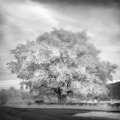 Infrared Black and White Landcscape Scotland Photography