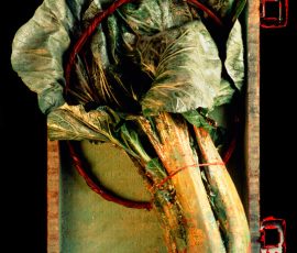 Bok Choi bok-choysmall