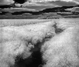 Creek near Beeds Lake, Iowa Infrared Black and White Landscape photography Barn Iowa