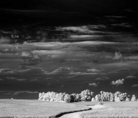 Hampton Iowa farmstead Infrared Black and White Landscape photography Barn Iowa