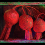 Red Beets - Promotional series Food Boxes Conceptual