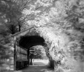 Sandgate Covered Bridge, VT Infrared Black and White Landscape photograph Barn Vermont