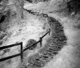 Stairs at Cluny, Scotland Infrared Black and White Landscape photography Scotland