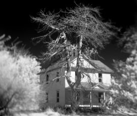 Tree and abandoned farmstead, Bradford, Iowa Infrared Black and White Landscape photography Barn Iowa