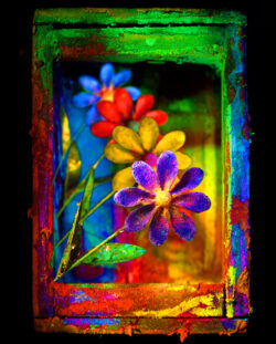 4flowersx700