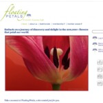 <a href="http://floatingpetals.net.net/" target="_blank" rel="noopener noreferrer">Floating Petals</a></p> Web Design Photography Logo Marketing SEO