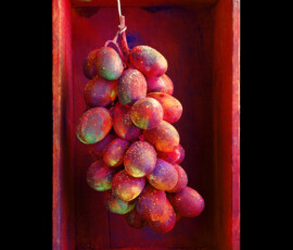 grapesx700