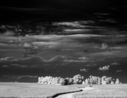 Infrared Black and White Landscape photography Barn Iowa